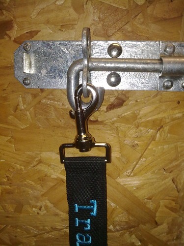 Stable door bolt safety - 1,
