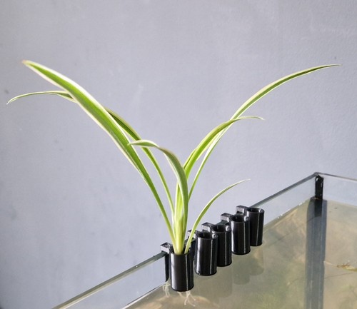Aquarium plant hangers for - 5x,