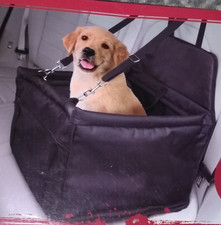 dog car seat booster barkhaus