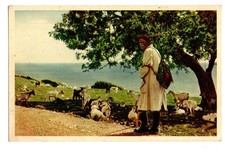 Cyprus. A Cypriot Shepherd.