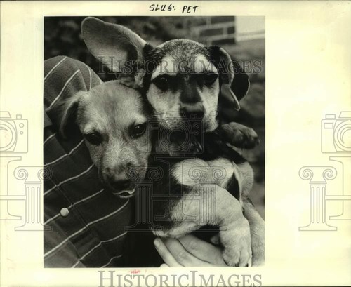 1985 press photo two - 1985, mixed