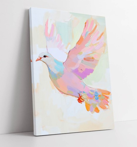 Multi colour flying dove bird - flying,