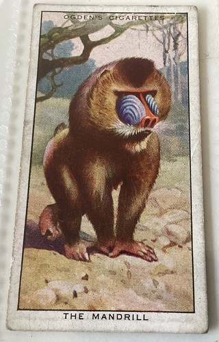 Ogdens 1932 colour nature - ogdens, of