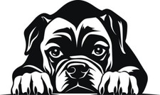 Personalised Puppy Dog " I