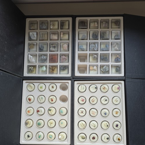 Treasures the earth mineral - of,