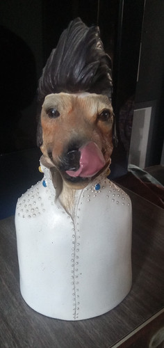 Elvis presley hound - presley, dog"