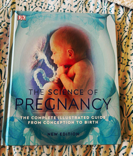 The science pregnancy - the,