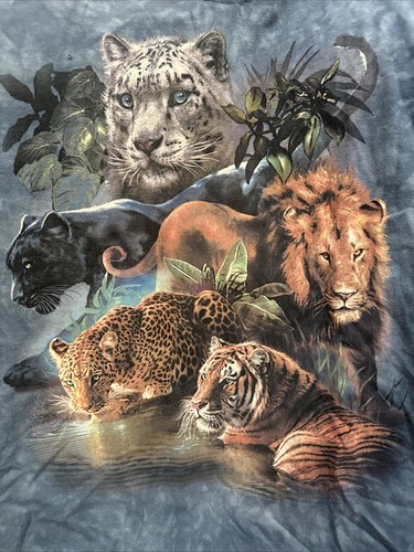The mountain big cat lion - big,