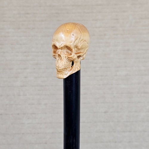 Old walking stick cane - walking,