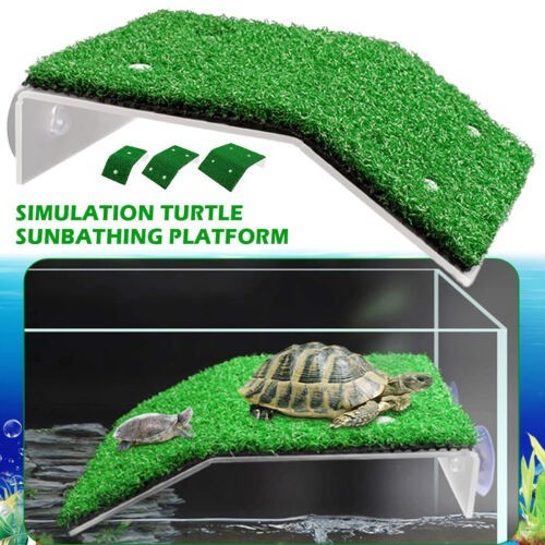 Turtle basking platform - turtle,