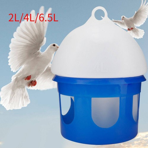 Automatic bird pigeon - 4.5/6/8l,