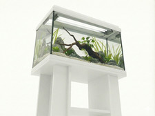 **BRAND NEW** Fish Tank