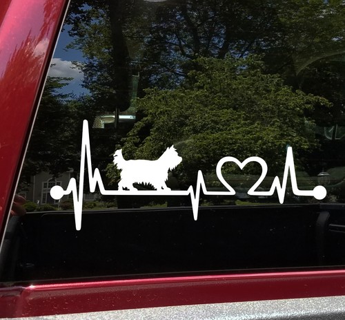 Yorkie heartbeat vinyl - vinyl, |