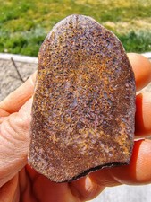 Utah Dinosaur Bone Fossil - 74