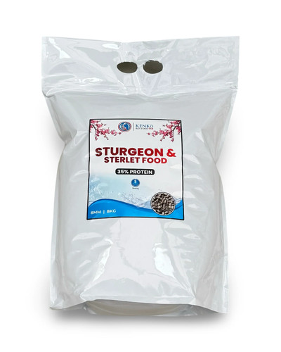 Kenko sturgeon sterlet - sturgeon,,