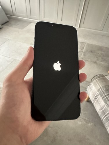 Apple iphone pro max - apple, 12