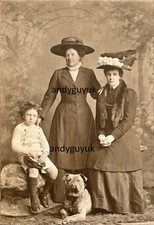Cabinet card bulldog ladies - card,