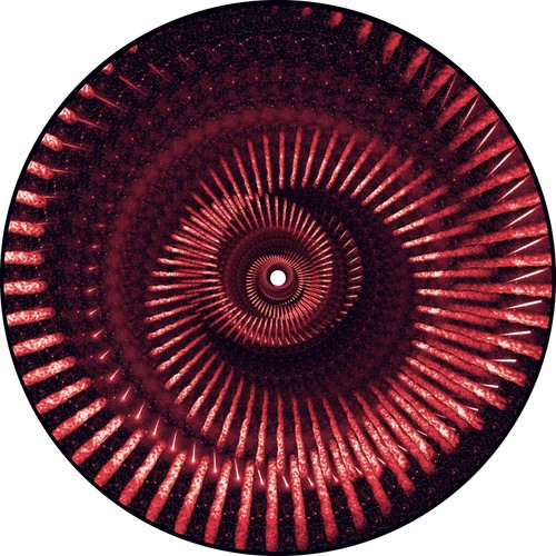 Muse the wow signal - muse,