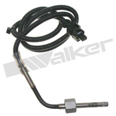 Walker exhaust gas temperature - exhaust,