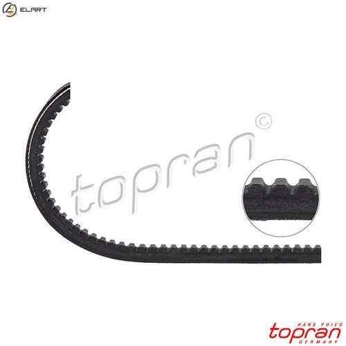 Vbelt 101 504 for - vbelt, vw