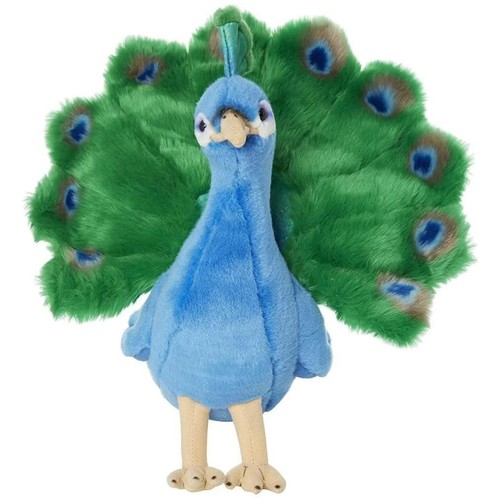 Living nature peacock - nature, an409