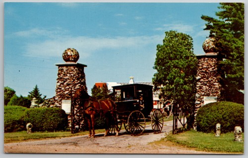 C1969 postcard amish - c1969,