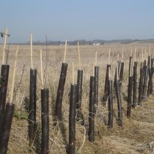 25 X 1.5FT/50MM Brown Spiral