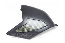 CARBON FIBER SWINGARM COVER -