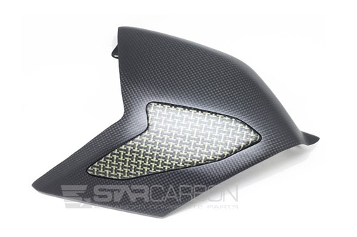 Carbon fiber swingarm cover - swingarm,