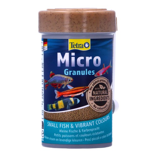 Tetra micro fish - tetra,