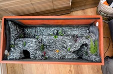 reptile vivarium 3d 