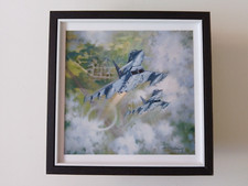 Michael Turner Aircraft print