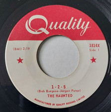 Rare 1966 - Psych Fuzz Garage