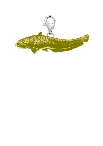F46 wells catfish - wells,