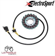 For Suzuki GS 500 2001 2002 2003 2004 ESG011 Stator Flywheel Magnet Electrosport