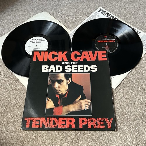 Nick cave tender - prey, /