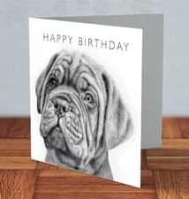 Dogue de Bordeaux dog Birthday