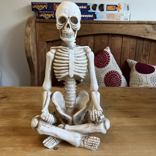 Meditating yoga pose - yoga, skeleton