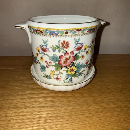 Coalport ming rose - rose, planter