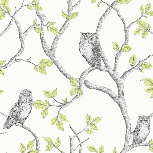 Fine decor woodland - woodland, owls