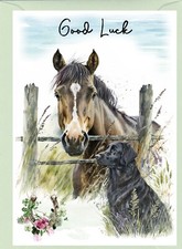 Flatcoated Retriever Dog &