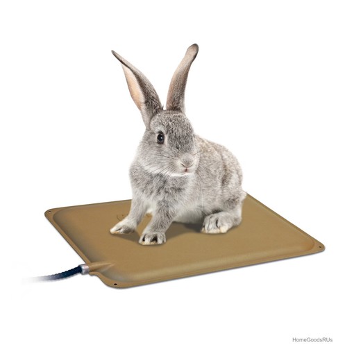 Small animal heated pad - animal, x