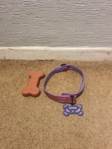 Furreal friends biscuit - biscuit, my