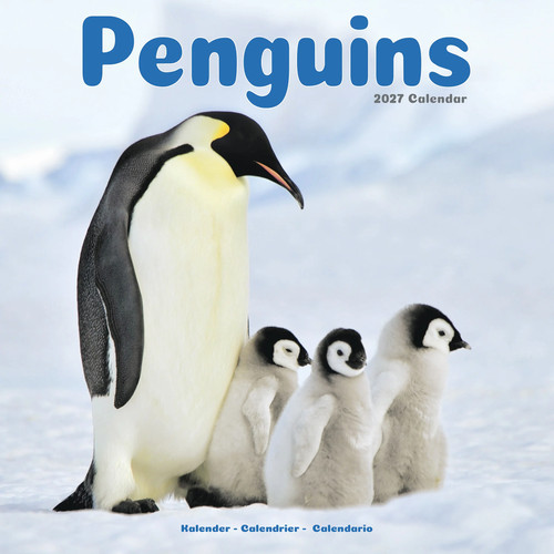 Penguins 2027 calendar - 2027, |