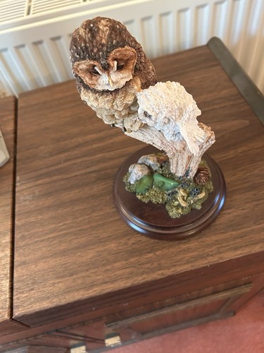 Country artist mum owl with - country,