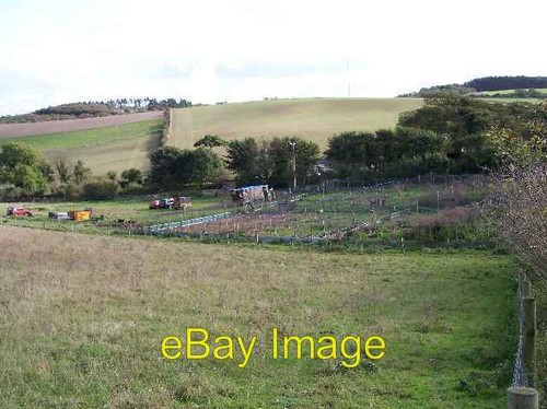 Photo 6x4 pheasant rearing - 6x4,