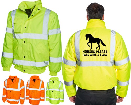 Horse rider vis viz - viz, bomber