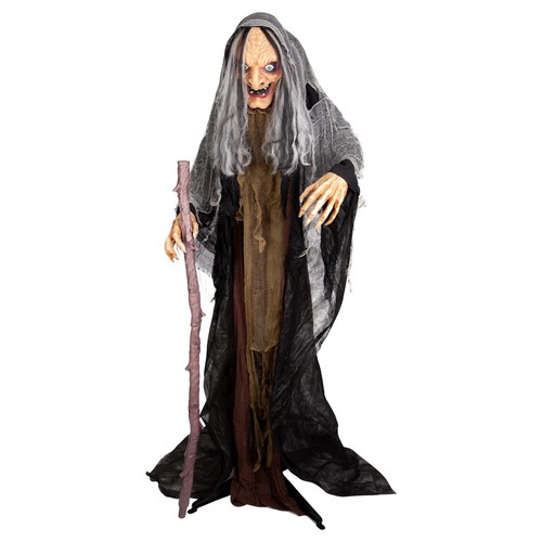 Animated old hag witch - animated,