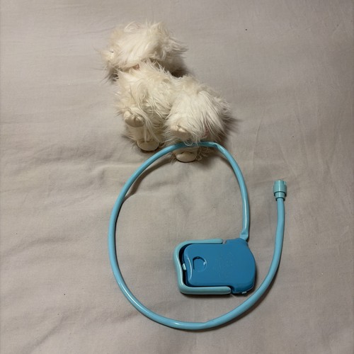Animagic dog age - animagic,