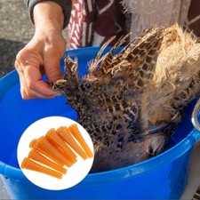  10 Pcs Chicken Plucker Hair